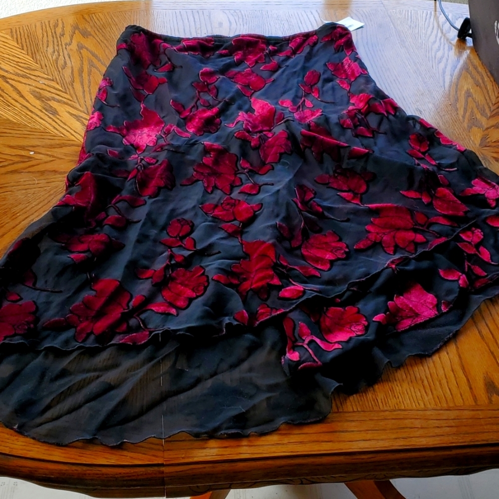 Mesh Skirt with Velveteen Roses